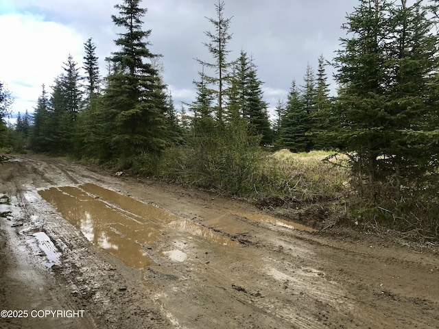 67212 Homestead Rd, Ninilchik, AK 99639 - photo 6