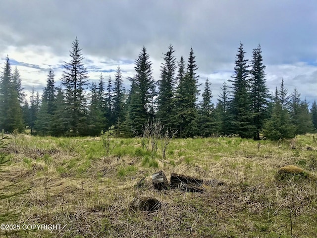 67212 Homestead Rd, Ninilchik, AK 99639 - photo 8