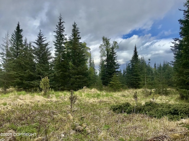 67212 Homestead Rd, Ninilchik, AK 99639 - photo 10