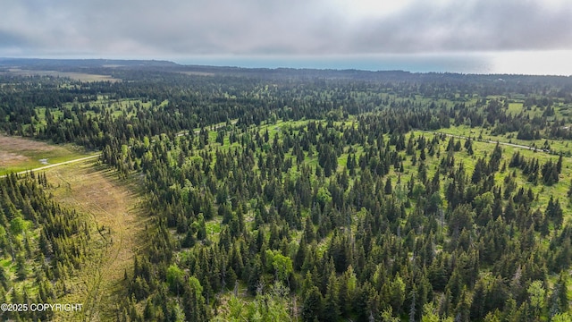 67212 Homestead Rd, Ninilchik, AK 99639 - photo 11