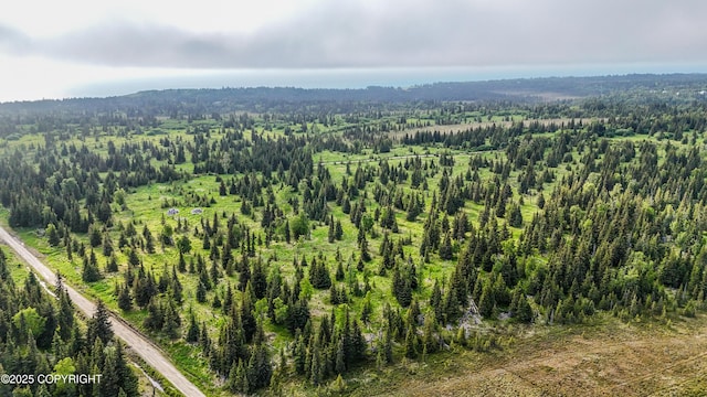 67212 Homestead Rd, Ninilchik, AK 99639 - photo 12