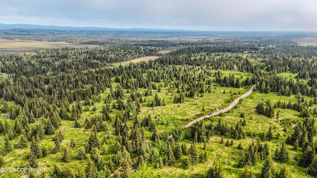 67212 Homestead Rd, Ninilchik, AK 99639 - photo 13