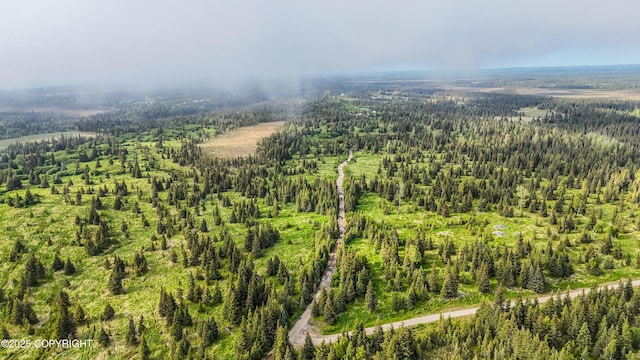 67212 Homestead Rd, Ninilchik, AK 99639 - photo 14