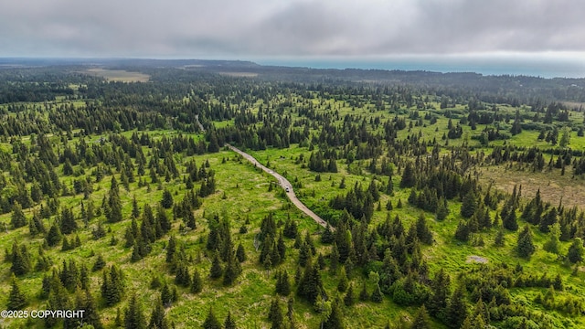 67212 Homestead Rd, Ninilchik, AK 99639 - photo 15