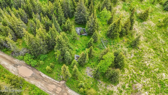 67212 Homestead Rd, Ninilchik, AK 99639 - photo 16