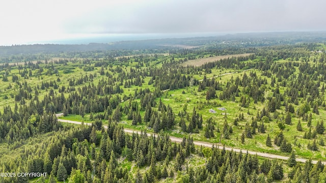 67212 Homestead Rd, Ninilchik, AK 99639 - photo 17