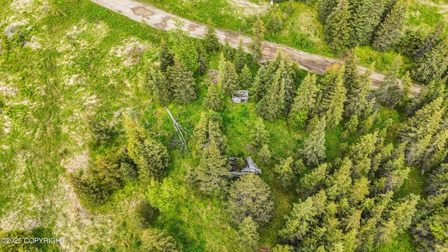 67212 Homestead Rd, Ninilchik, AK 99639 - photo 18