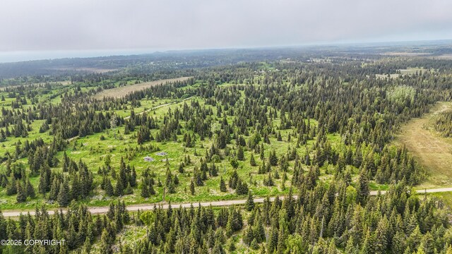 67212 Homestead Rd, Ninilchik, AK 99639 - photo 19