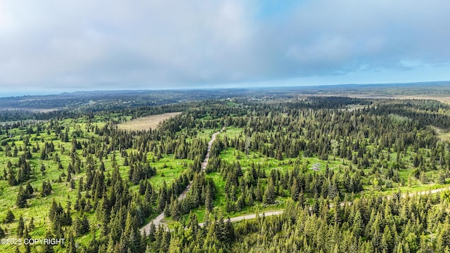 67212 Homestead Rd, Ninilchik, AK 99639 - photo 20