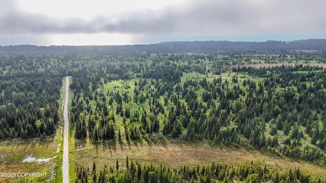 67212 Homestead Rd, Ninilchik, AK 99639 - photo 21