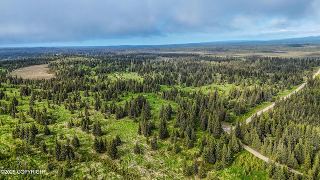 67212 Homestead Rd, Ninilchik, AK 99639 - photo 23
