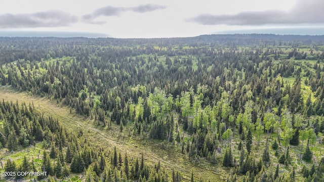 67212 Homestead Rd, Ninilchik, AK 99639 - photo 24