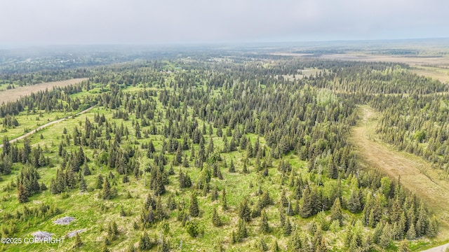 67212 Homestead Rd, Ninilchik, AK 99639 - photo 25