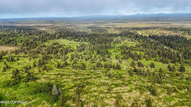 67212 Homestead Rd, Ninilchik, AK 99639 - photo 26