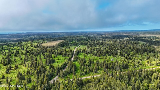 67212 Homestead Rd, Ninilchik, AK 99639 - photo 27