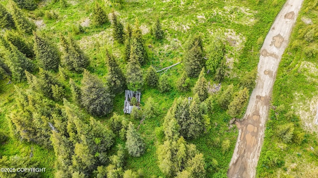 67212 Homestead Rd, Ninilchik, AK 99639 - photo 28