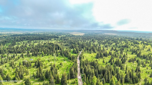 67212 Homestead Rd, Ninilchik, AK 99639 - photo 29