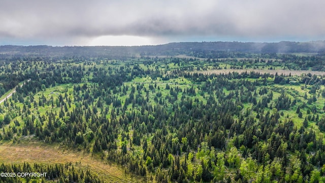 67212 Homestead Rd, Ninilchik, AK 99639 - photo 30