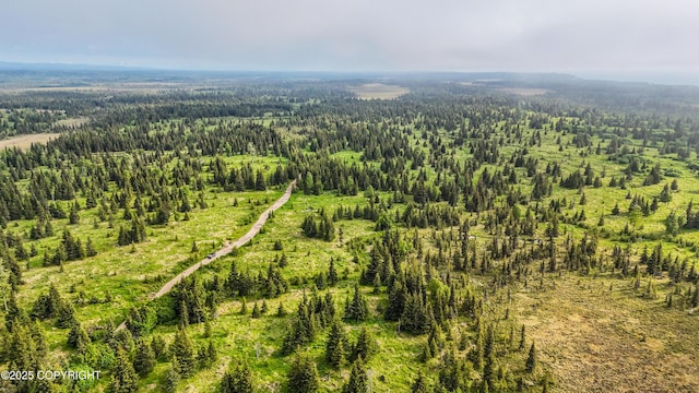 67212 Homestead Rd, Ninilchik, AK 99639 - photo 31