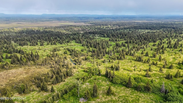67212 Homestead Rd, Ninilchik, AK 99639 - photo 33