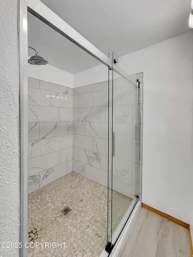 26839 S Talkeetna Spur Rd, Talkeetna, AK 99676 - full bathroom with a stall shower, wood finished floors, and baseboards