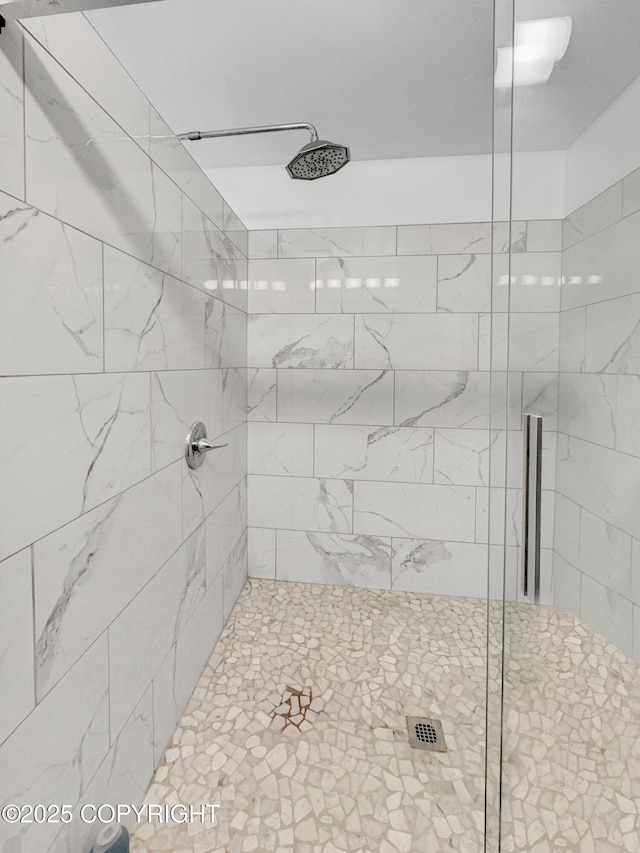 26839 S Talkeetna Spur Rd, Talkeetna, AK 99676 - bathroom with a stall shower