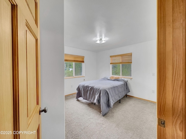 26839 S Talkeetna Spur Rd, Talkeetna, AK 99676 - carpeted bedroom with baseboards