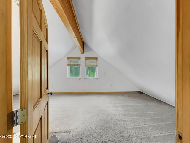26839 S Talkeetna Spur Rd, Talkeetna, AK 99676 - additional living space with carpet and baseboards