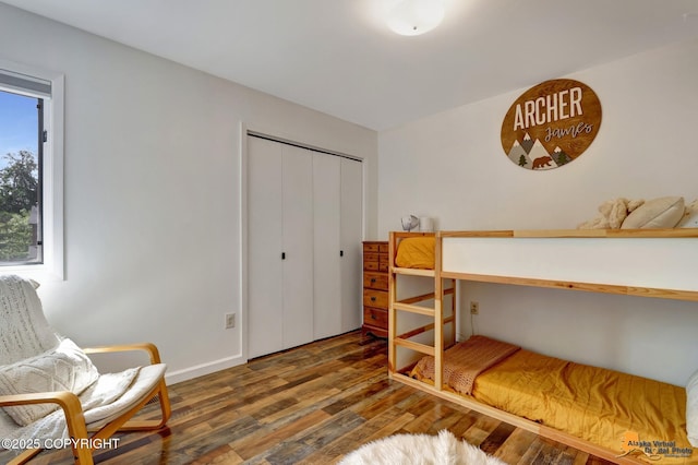 3941 Eric Cir, Anchorage, AK 99507 - bedroom featuring wood finished floors and a closet