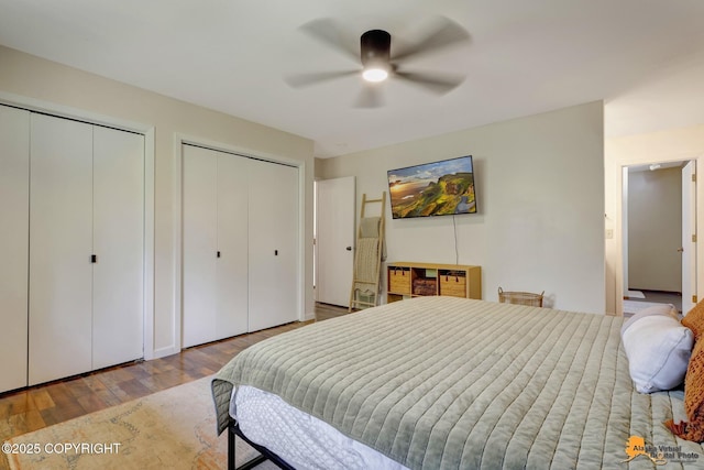 3941 Eric Cir, Anchorage, AK 99507 - bedroom with two closets, wood finished floors, and a ceiling fan