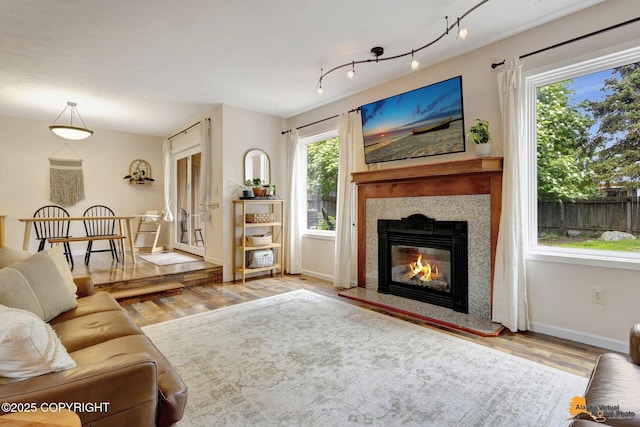 3941 Eric Cir, Anchorage, AK 99507 - living area featuring wood finished floors and a high end fireplace
