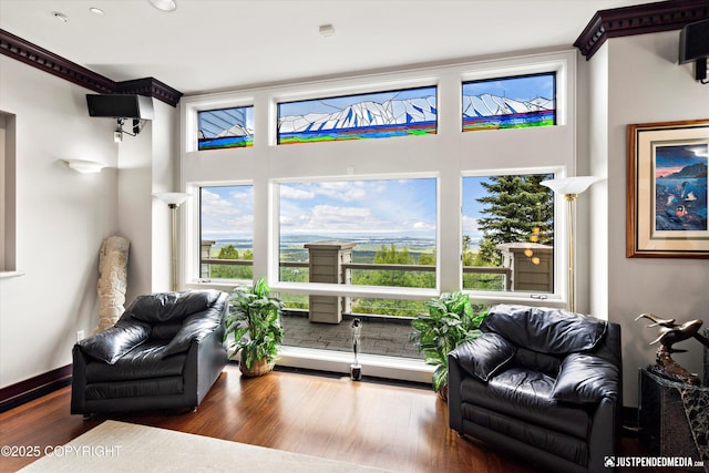 9900 Hillhaven Cir, Anchorage, AK 99507 - sitting room featuring wood finished floors and a towering ceiling