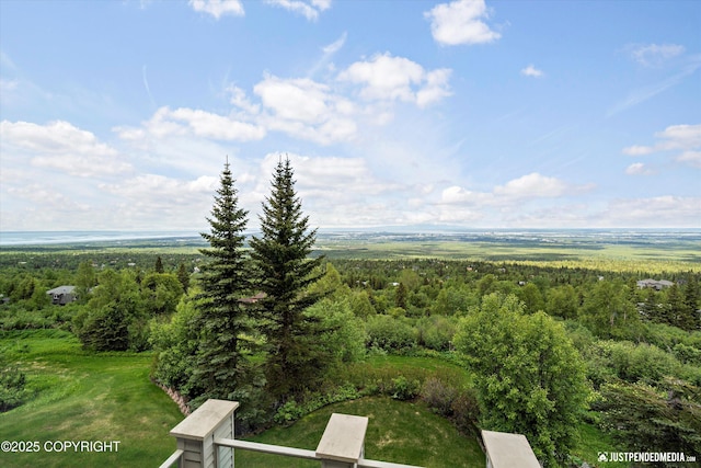 9900 Hillhaven Cir, Anchorage, AK 99507 - bird's eye view of a forest