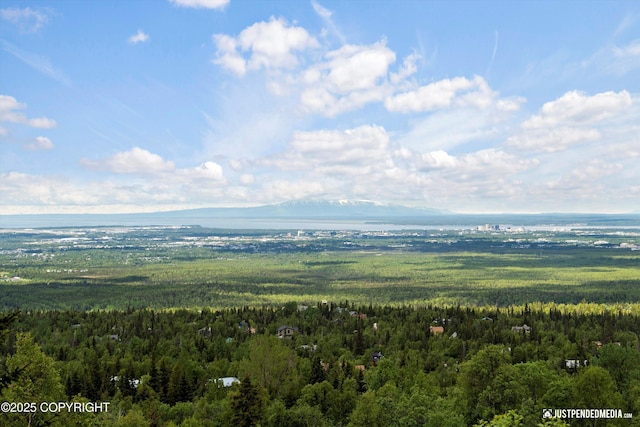 9900 Hillhaven Cir, Anchorage, AK 99507 - drone / aerial view of a heavily wooded area