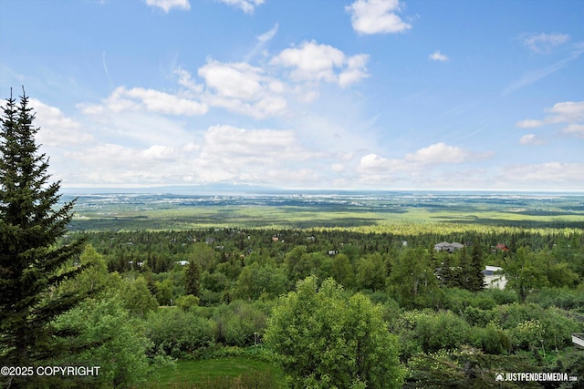 9900 Hillhaven Cir, Anchorage, AK 99507 - drone / aerial view of a heavily wooded area
