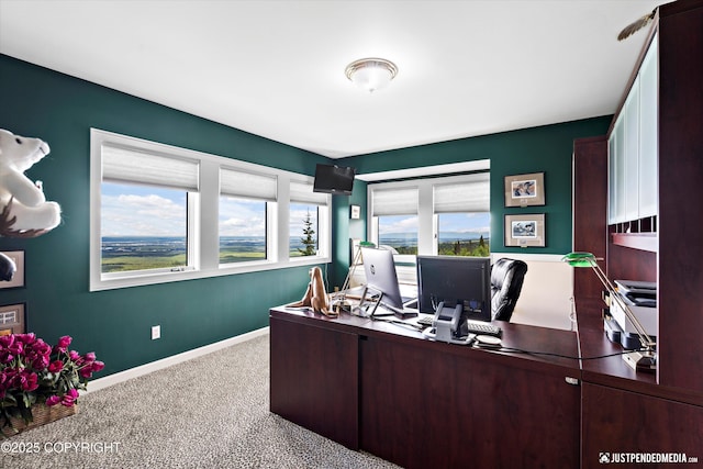 9900 Hillhaven Cir, Anchorage, AK 99507 - office with carpet floors and baseboards