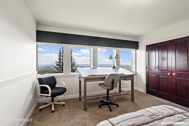 9900 Hillhaven Cir, Anchorage, AK 99507 - carpeted bedroom featuring a desk and baseboards