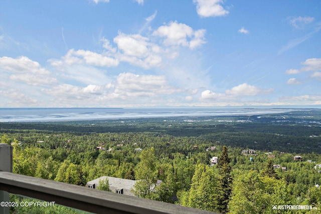 9900 Hillhaven Cir, Anchorage, AK 99507 - bird's eye view of a heavily wooded area
