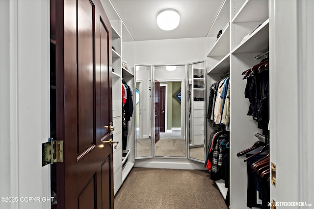 9900 Hillhaven Cir, Anchorage, AK 99507 - walk in closet with carpet