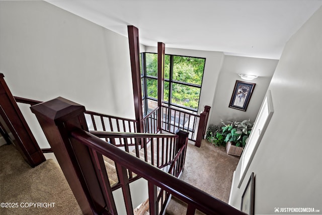 9900 Hillhaven Cir, Anchorage, AK 99507 - staircase featuring carpet floors