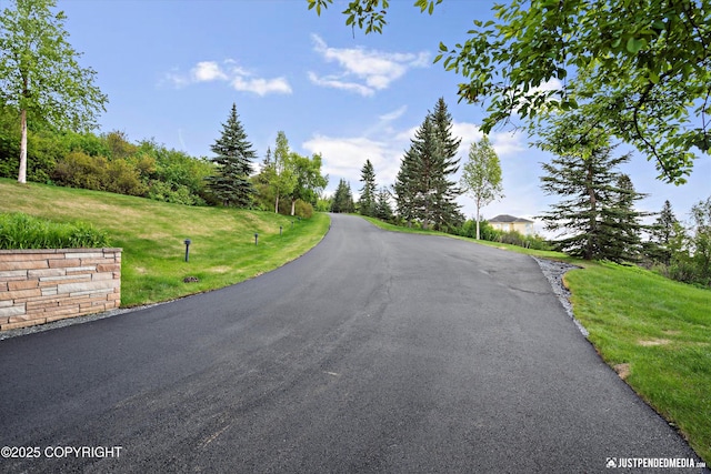 9900 Hillhaven Cir, Anchorage, AK 99507 - view of asphalt road