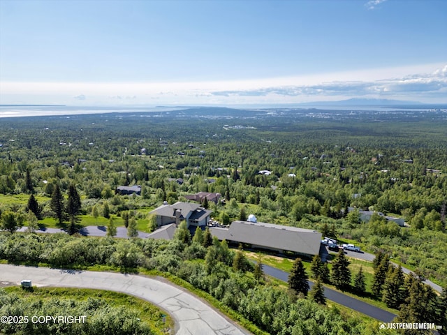 9900 Hillhaven Cir, Anchorage, AK 99507 - aerial view of a forest