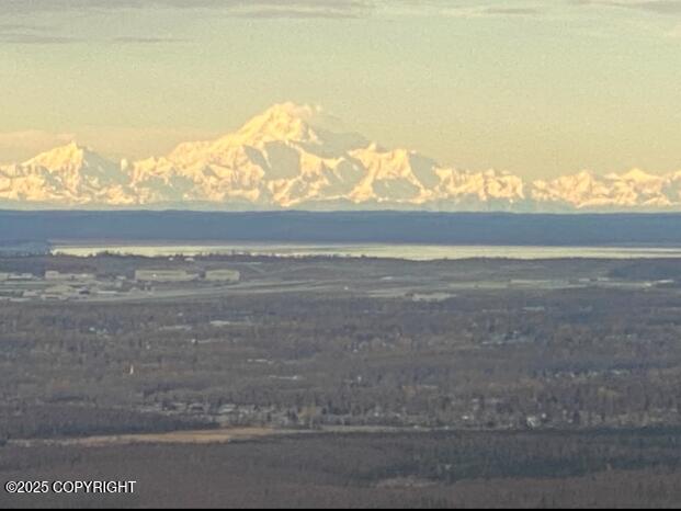 9900 Hillhaven Cir, Anchorage, AK 99507 - mountain view