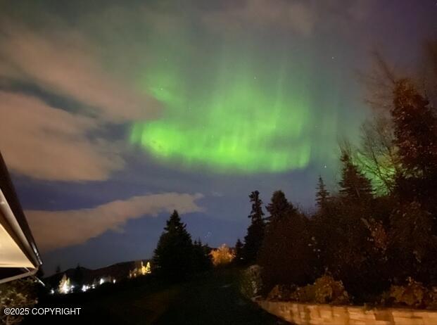 9900 Hillhaven Cir, Anchorage, AK 99507 - view of nature at night