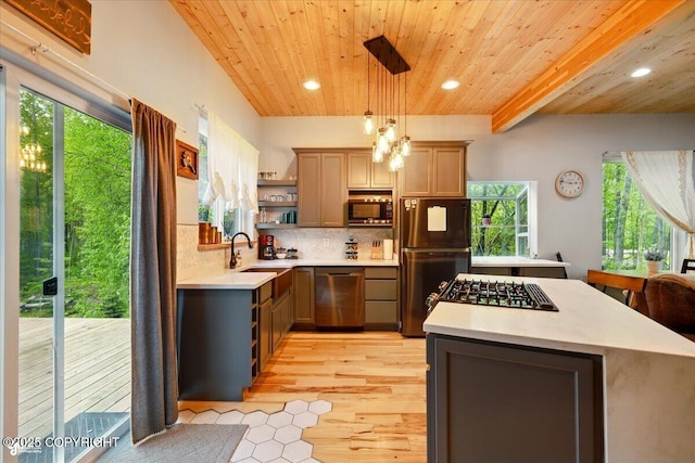 23069 Christiansen Lake Rd, Talkeetna, AK 99676 - kitchen with appliances with stainless steel finishes, open shelves, light countertops, plenty of natural light, and a wood ceiling with exposed beams