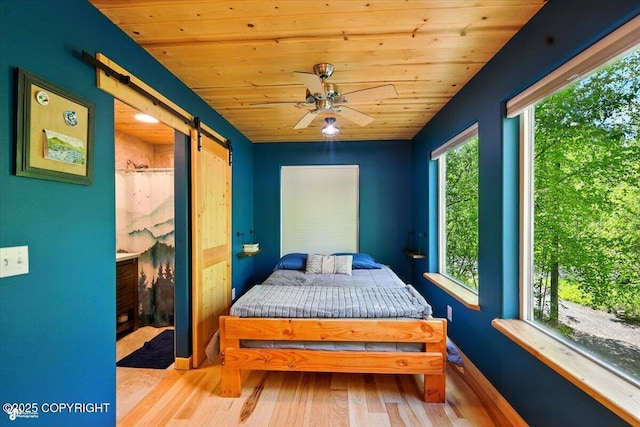 23069 Christiansen Lake Rd, Talkeetna, AK 99676 - bedroom featuring a barn door, wood finished floors, wooden ceiling, and a ceiling fan