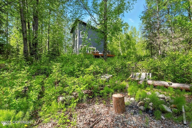 23069 Christiansen Lake Rd, Talkeetna, AK 99676 - view of yard