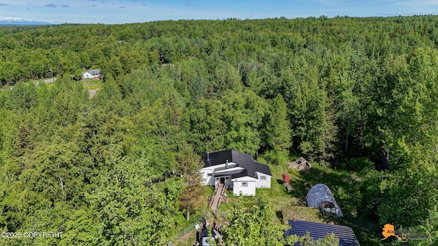 3151 E 151st Ave, Anchorage, AK 99516 - view from above of property featuring a forest