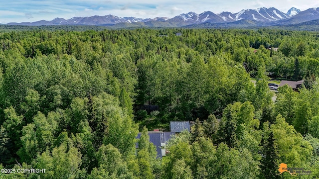 3151 E 151st Ave, Anchorage, AK 99516 - aerial view of a forest and mountains