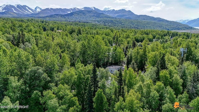 3151 E 151st Ave, Anchorage, AK 99516 - mountain view with a heavily wooded area